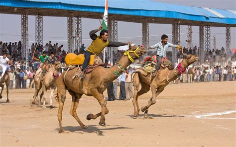 Its head popped out of the sun roof of the car. the indian state of rajasthan is home to 80 per cent of india's camels. Camels and Mustaches: A Journey into Pushkar, India ...