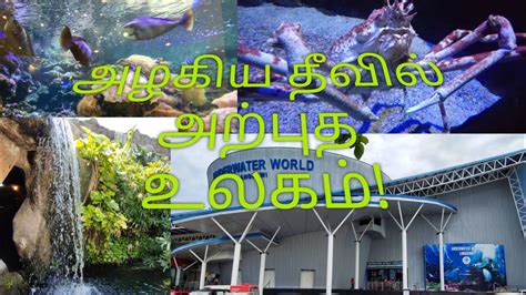 So this is the one of the family with toddlers friendly attraction place to visit there. Mesmerizing Under Water World Langkawi Malaysia - YouTube