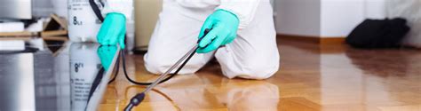 However, candidates for this position must have an interest in the pest control industry and. Pest Control, Encapsulation, Mold Remediation, Restoration ...