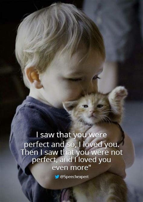 Maybe you would like to learn more about one of these? I love you even more | Hug your cat day, Kittens funny, I ...