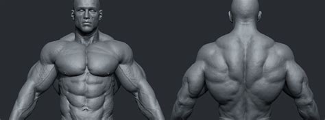 Check spelling or type a new query. Male Body Builder - ZBrushCentral