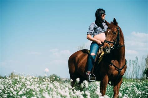 11 months is the standard gestation period for a horse. Owning A Horse While Pregnant: What To Do With Your Horse ...
