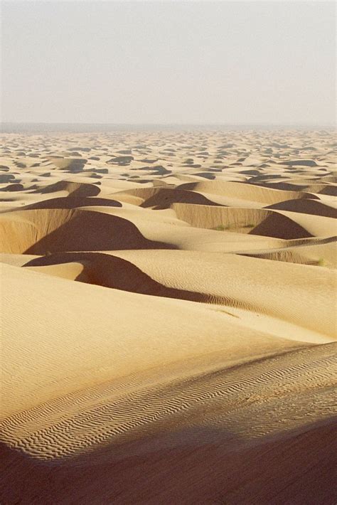 In the valencia desert, all horses (other than the unicorn t9 horse) have slower movement and cannot use skills. Endless caramel waves of sand dunes stretch to the horizon ...