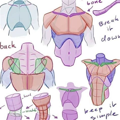 Check spelling or type a new query. Anime Art Reference/Tutorials on Instagram: "Male torso in simple shapes . Credit to ...