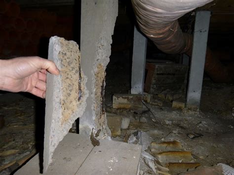 During a pest inspection, the pest inspector will examine the interior and exterior of the property looking for red flags. Pest & Building Inspection Frankston - Damaged Concrete ...