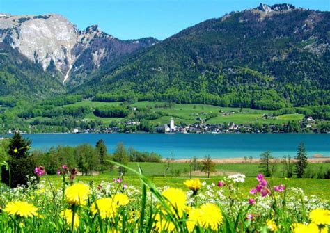 Gönnen sie sich bei sonnigem badewetter eine auszeit am badesee. Urlaub Wolfgangsee - Hotels, Ferienwohnungen ...