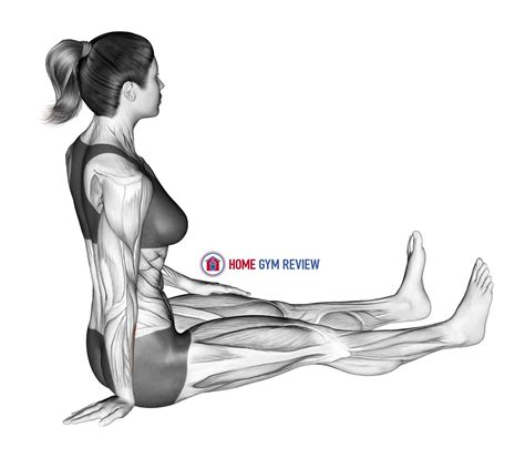 Maybe you would like to learn more about one of these? Seated Wrist Ulnar Deviator And Flexor Stretch - Home Gym ...