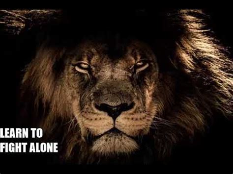 See more ideas about quotes, fighter quotes, inspirational quotes. Inspirational Quotes 2018 | Learn to Fight Alone - YouTube