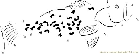 Oh, and don't forget the dolphins! Spotted Grouper dot to dot printable worksheet - Connect The Dots