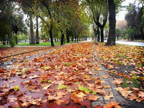 The sutil and errázuriz families. Conoce los atractivos turístico de Frutillar | Turismo en ...