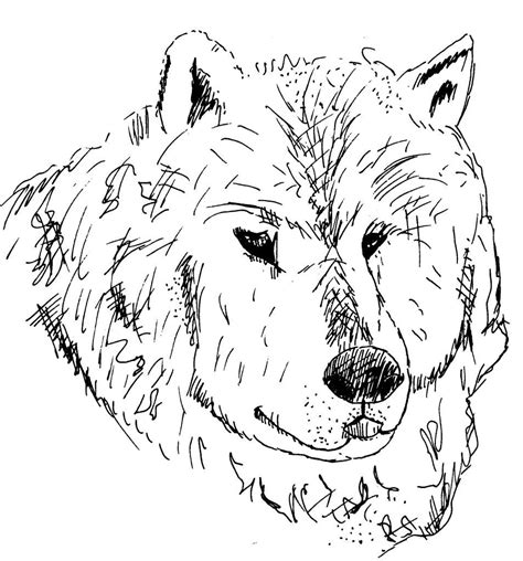 Dessin de tete de loup inspiration de decoration serapportanta. Dessin-coloriage animal : tete de loup - Education ...