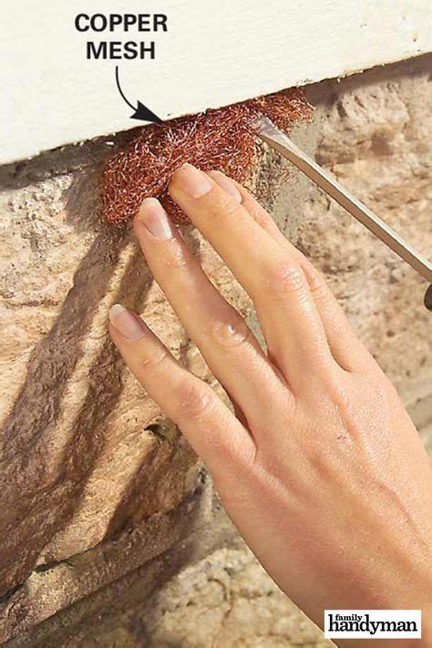 • put the tip back on • store for up to 30. 15 Expanding Spray Foam Insulation Ideas and Applications ...