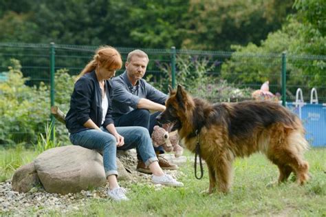 Wszystko co chcesz wiedzieć o swoim ulubionym serialu. Komisarz Alex 13 sezon odc. 156. Piotr (Krystian Wieczorek ...