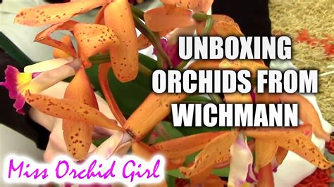 Shop with confidence on ebay! Unboxing orchids from Wichmann online store - YouTube