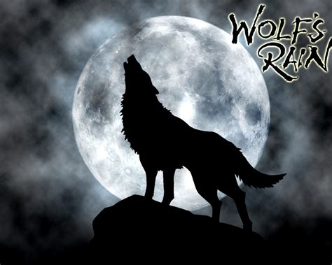 We did not find results for: Bilder Wolf's Rain Wolf Silhouette Anime Mond