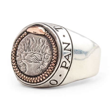 Feb 18, 2020 · the ouroboros, the ancient symbol of eternity that was famously depicted on king tut's tomb in the 14th century b.c., is a serpent devouring its own tail. Ouroboros Signet Ring | Signet ring, Signet, Armor ring