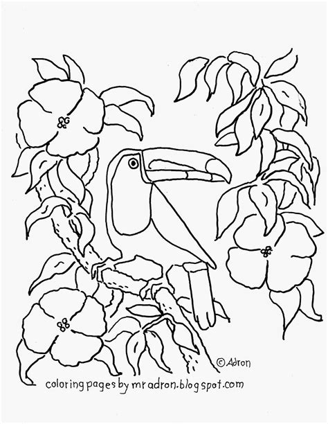 612x792 toucan coloring pages download large image toucan coloring page. Coloring Pages for Kids by Mr. Adron: Free Printable ...