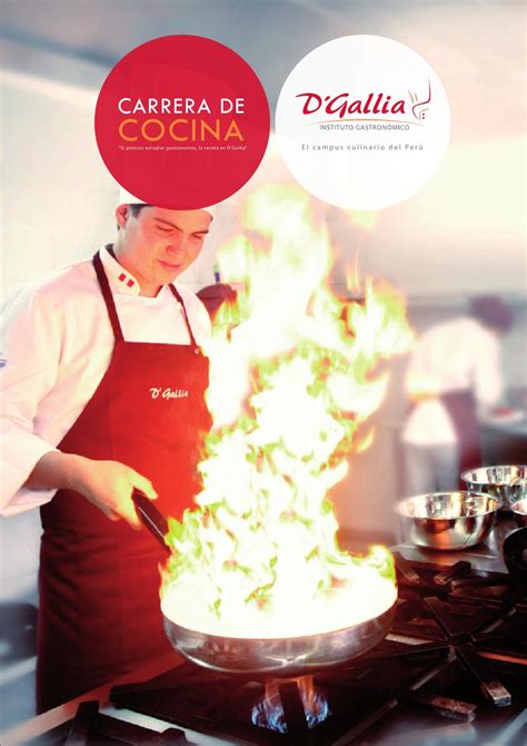 The diplôme de cuisine is a french cuisine diploma that also includes elements of international cooking styles and modern techniques. Diplome cuisine by Instituto D'Gallia - Issuu