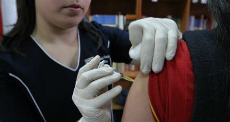 Este virus fue cultivado, cosechado y posteriormente inactivado para. Anuncian pruebas de vacuna Sinovac en Chile: se ...