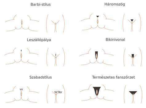 From full bush to brazilian wax, pubic hair trends come and go. File:Pubic hair styles hu.svg - Wikimedia Commons