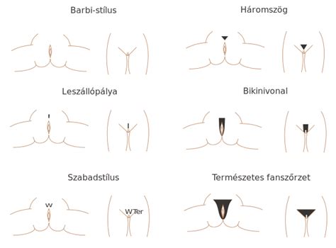 The bangs are usually long, even going past a little bit the eyebrows. File:Pubic hair styles hu.svg - Wikimedia Commons