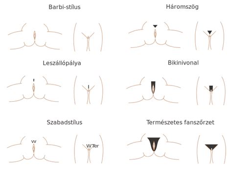 You need to be careful it is important to be aware that there are many men and women who still choose to go the natural cut the hair as close to the skin as you're comfortable with. File:Pubic hair styles hu.svg - Wikimedia Commons