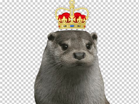 # just import the emojis dictionary which aliases are the same as in discord from emoji import. Otter Internet forum Jeuxvideo.com 0, otters, mammal ...