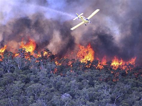 O da pampilhosa da serra (coimbra), castro daire (viseu), ourém (santarém) e celorico de basto (braga). G1 - Incêndios causam morte de pelo menos uma pessoa na ...