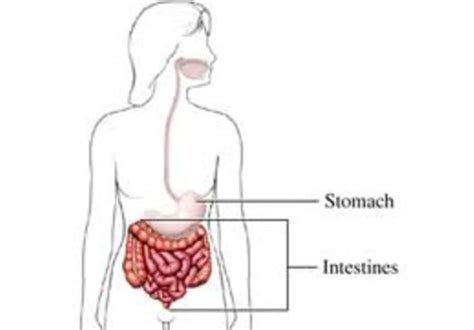 Learn about treating and preventing viral gastroenteritis (stomach flu). Give you gastroenteritis treatment recipe, a chinese ...