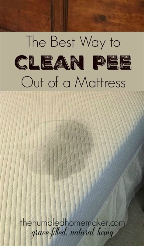 How to remove pet urine stains and odor. How to Clean Pee Out of a Mattress | The Humbled Homemaker