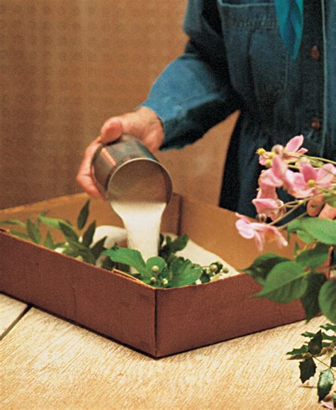 I dry many flowers at once for more reliable drying, prepare your flowers using the standard silica procedure described above, and then microwave them. Drying Flowers in Sand - FineGardening