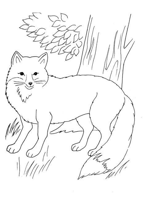 Eine eule zum ausmalen aus dem malbuch mein zauberwald der künstlerin johanna basford. Ausmalbild Fuchs Einfach - Cartoon-Bild