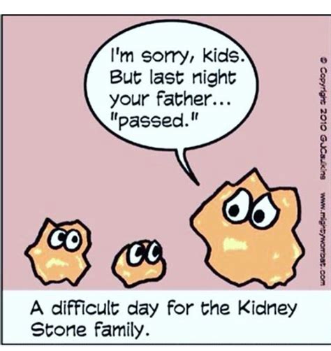 This page is about funny kidney stone humor,contains humor kidney stone humour,kidney stone cartoons and comics funny pictures from cartoonstock,kidney puns,kidney stones cartoons and comics and more. A little kidney stone humor | Kidney stones funny, Ultrasound humor, Medical humor