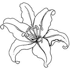 Spring outdoor flower coloring page | wecoloringpage.com. Top 35 Free Printable Spring Coloring Pages Online ...