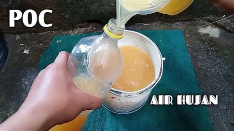 Untuk pembuatan molen dengan rasa. Cara Sederhana Membuat Pupuk Organik Cair Air Hujan ...