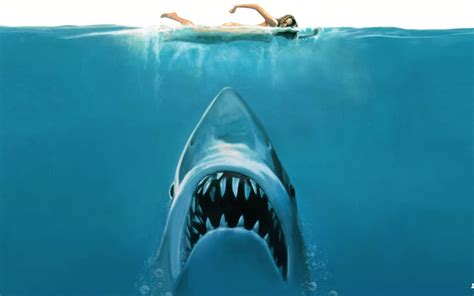 45 years after jaws rules movie theaters, we dig in to find the best references, easter eggs, and it's been 45 years since jaws took to the big screen, skyrocketing director steven spielberg's career and. Jaws Movie Concept - Wallpaper, High Definition, High ...