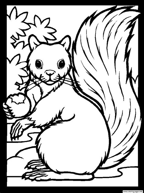 Large selection of coloring pages in the category animals. Animal Squirrel Sd83b Coloring Pages Printable