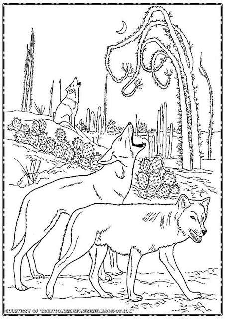 Realistic detailed wolf coloring pages for adults. Adults Coloring Pages Free: Free Wolf Coloring Pages For ...