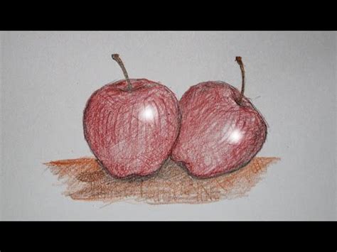 Berikut ini contoh sketsa gambar yang sudah diwarnai. cara menggambar buah apel untuk anak anak - YouTube