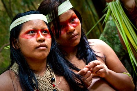 Die umweltverschmutzung in amazonien und ihre folgen für die ganze menschheit, die lage der indigenen völker in diesem gebiet und schließlich auch die pastoralen herausforderungen innerhalb der kirche. 10 Fakten & Infos über Ecuador & seinen Regenwald ...