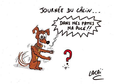 Et non, chaque 21 janvier, on risque de se faire étreindre dans la rue, pour la bonne cause. journée du câlin... - Dessin de presse un dessin par jour ...