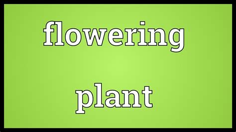 They pass the unfavourable period in the form of seeds. Flowering plant Meaning - YouTube