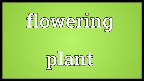 They pass the unfavourable period in the form of seeds. Flowering plant Meaning - YouTube