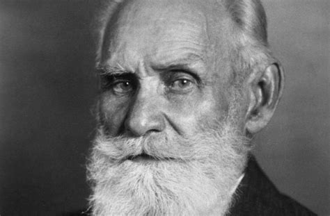 Pavlovian conditioning of taste aversion has rarely been investigated in healthy humans using motion sickness as the unconditioned stimulus (us). Ivan Pavlov: Life, Research, Classical Conditioning