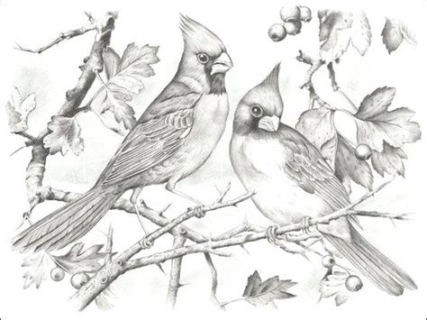 124 sales | 5 out of 5 stars. Cardinal Coloring Pages Printable at GetColorings.com ...