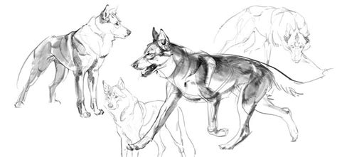 Maybe you would like to learn more about one of these? Christine Bian | Canine art, Dog art, Animal sketches