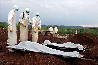 Lundi, la guinée a indiqué qu'un cas du virus de marburg avait été détecté sur son territoire.cette maladie, de la même famille qu'ebola, se transmet par contact direct. Vírus de Marburg - Desciclopédia