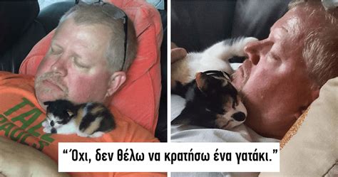 Bad breath — it happens to the best of us, including our beloved feline companions. 40 άνθρωποι που είπαν ότι δεν ήθελαν την γάτα αλλά στο ...