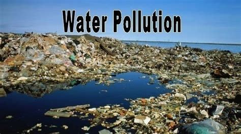 Water pollution is a problem of great importance. Petition · Everyone: Write a Solution for Water Pollution ...