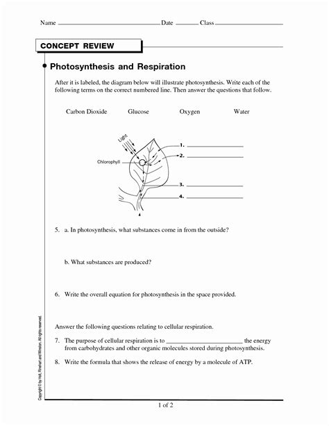 Compare this reaction to the one you learned about last chapter for photosynthsis (6 h20 + 6 co2+ light energy + czhi20s + 6 03) how are these equations related? 50 Cellular Respiration Worksheet Answer Key | Chessmuseum ...